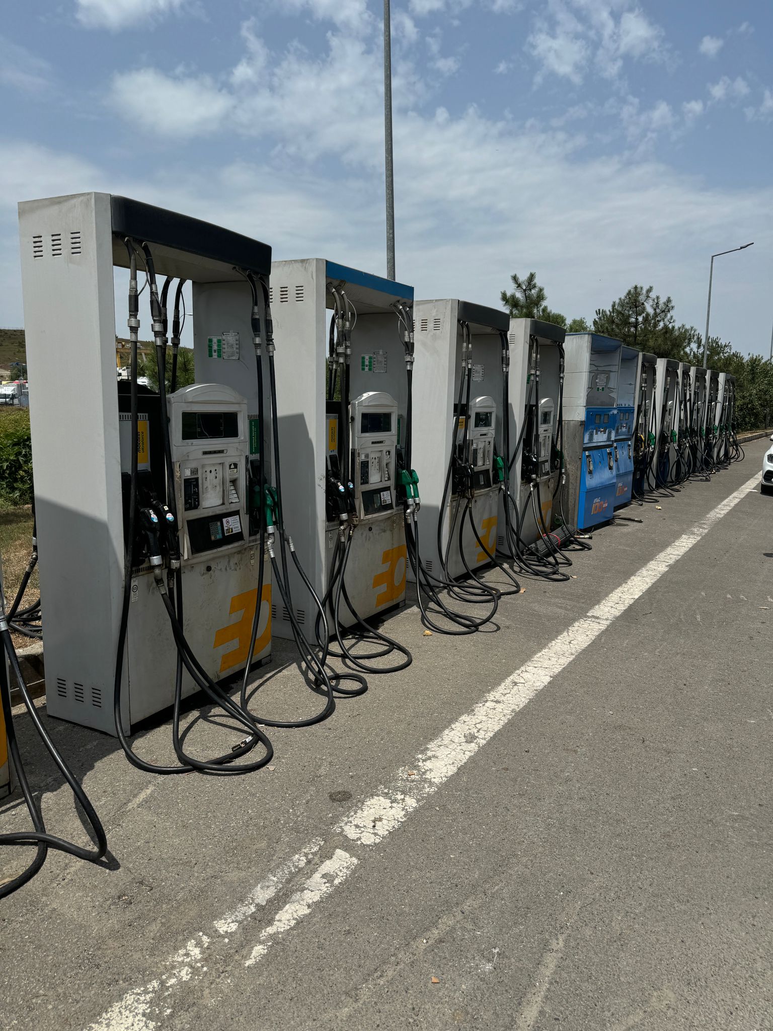 mepsan  dıspanser  